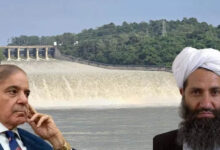 सिंधु का पानी भारत ने रोका, पाकिस्तान को प्यासा छोड़ने पर मजबूर किया