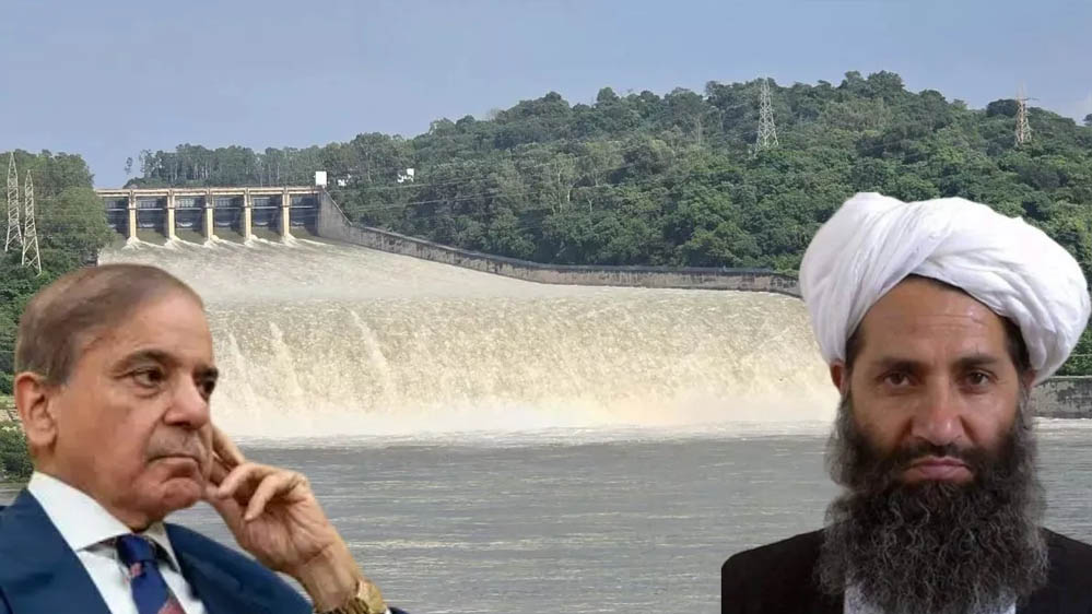 सिंधु का पानी भारत ने रोका, पाकिस्तान को प्यासा छोड़ने पर मजबूर किया सिंधु का पानी भारत ने रोका, पाकिस्तान को प्यासा छोड़ने पर मजबूर किया