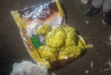 रतलाम-मंदसौर से गुजरात भेजी जा रही 12 किलो MD ड्रग्स बरामद, एक आरोपी गिरफ्तार