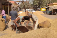 धान खरीद में नया रिकॉर्ड: 4 लाख से अधिक किसानों से खरीदा गया 25 लाख मीट्रिक टन धान