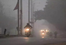 मध्यप्रदेश में बढ़ी ठंड, कई जिलों में घना कोहरा; दिल्ली रूट की ट्रेनें 5 घंटे तक लेट, उड़ानों पर भी असर