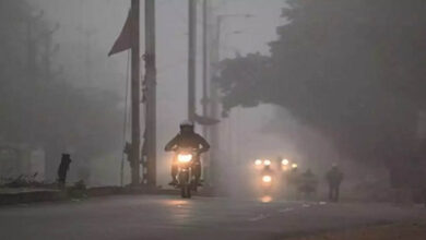 मध्यप्रदेश में बढ़ी ठंड, कई जिलों में घना कोहरा; दिल्ली रूट की ट्रेनें 5 घंटे तक लेट, उड़ानों पर भी असर मध्यप्रदेश में बढ़ी ठंड, कई जिलों में घना कोहरा; दिल्ली रूट की ट्रेनें 5 घंटे तक लेट, उड़ानों पर भी असर