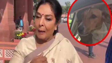 संसद में कार में पालतू कुत्ता लेकर पहुंचीं रेणुका चौधरी, बोलीं- ‘अंदर वाले काटते हैं, मेरा कुत्ता नहीं’