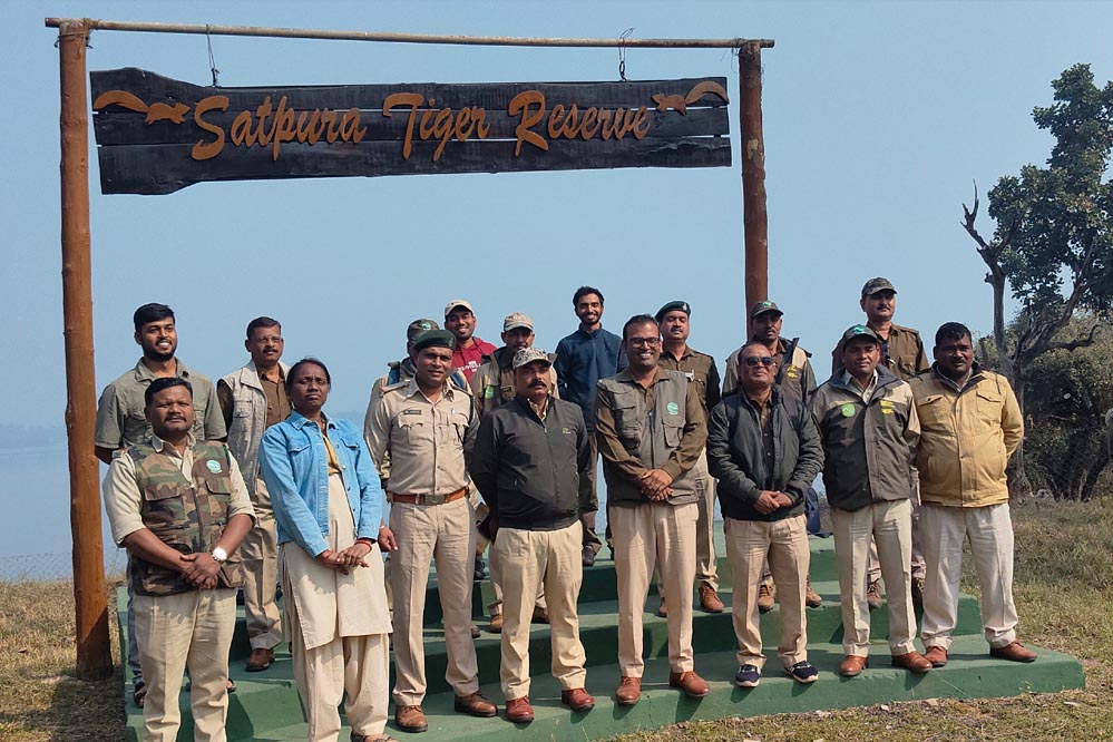 देशभर में बाघ गणना शुरू, STR में सफारी का समय बदला: अब 7:30 बजे से एंट्री; 450 कर्मचारी और 8 राज्यों के वॉलिंटियर्स करेंगे गिनती