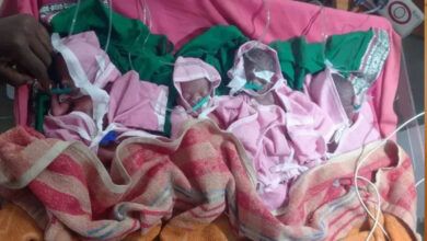 छिंदवाड़ा में महिला ने चार बच्चों को जन्म दिया, 1 बेटा और 3 बेटियों की किलकारियां गूंजी