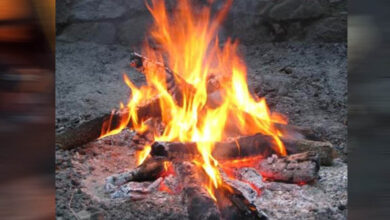 नए साल पर झटका: टाइगर रिज़र्व के रिसॉर्ट्स और होटलों में अब नहीं जलेगा अलाव, सुप्रीम कोर्ट ने लगाया रोक