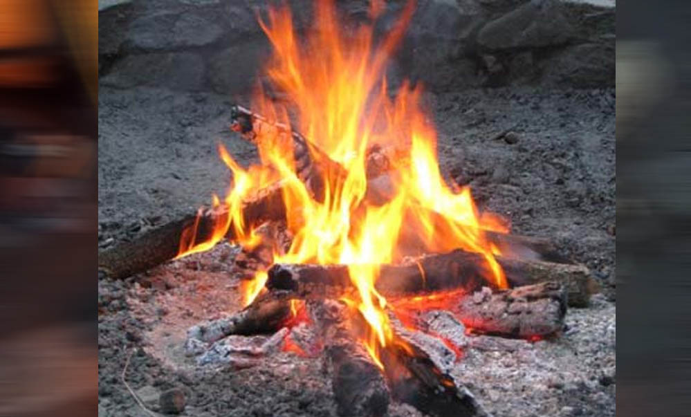 नए साल पर झटका: टाइगर रिज़र्व के रिसॉर्ट्स और होटलों में अब नहीं जलेगा अलाव, सुप्रीम कोर्ट ने लगाया रोक नए साल पर झटका: टाइगर रिज़र्व के रिसॉर्ट्स और होटलों में अब नहीं जलेगा अलाव, सुप्रीम कोर्ट ने लगाया रोक