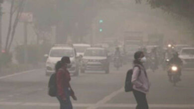 एमपी में ठंड का कहर: 14 जिलों में घने कोहरे का अलर्ट, मालवा एक्सप्रेस 4 घंटे लेट