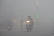 मध्य प्रदेश में ठंड का असर: 25 शहरों में पारा 10 डिग्री से कम, पचमढ़ी सबसे ठंडा