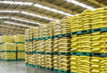 ई-टोकन से किसानों को घर बैठे खाद, लंबी कतारों से मिली राहत; जनवरी से प्रदेशभर में लागू