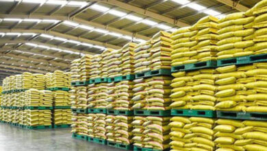 ई-टोकन से किसानों को घर बैठे खाद, लंबी कतारों से मिली राहत; जनवरी से प्रदेशभर में लागू