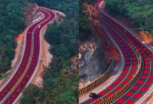 एमपी का पहला ‘रेड रोड’: गाड़ियों की स्पीड पर ब्रेक और बाघों की सुरक्षा, जानें कैसे काम करता है