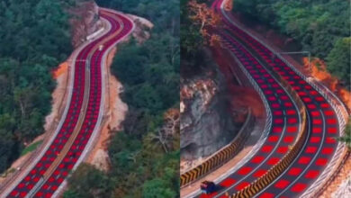 एमपी का पहला ‘रेड रोड’: गाड़ियों की स्पीड पर ब्रेक और बाघों की सुरक्षा, जानें कैसे काम करता है