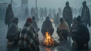 राजगढ़ बना सबसे ठंडा शहर, पारा 3.8°C पर, 16 जिलों में घना कोहरा, ट्रेनें लेट