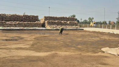 उत्तर बस्तर कांकेर : किसानों ने अब तक 2 लाख 21 हजार मेट्रिक टन से अधिक धान बेचा