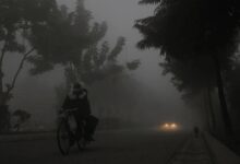 मध्यप्रदेश में कड़ाके की सर्दी का अलर्ट: भोपाल-इंदौर समेत 10 शहरों में पारा 2-3 डिग्री तक गिरेगा