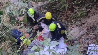 उत्तराखंड में शादी से लौट रहे परिवार की गाड़ी खाई में गिरी, 5 बारातियों की दर्दनाक मौत