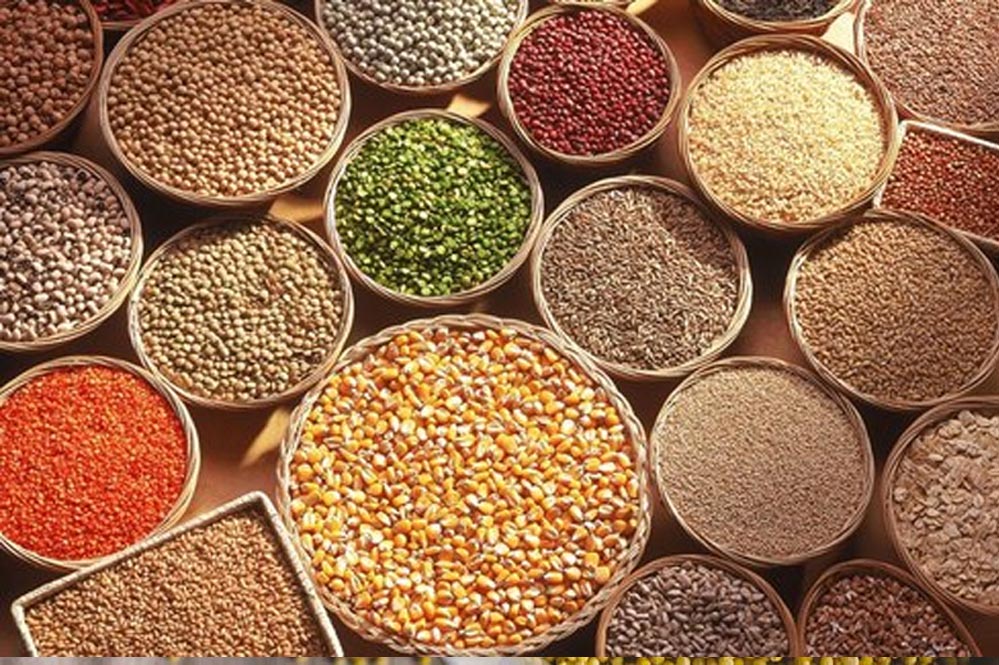 इंदौर में 12 से 14 दिसंबर तक आयोजित होगा जैविक खेती और स्वाद का महोत्सव