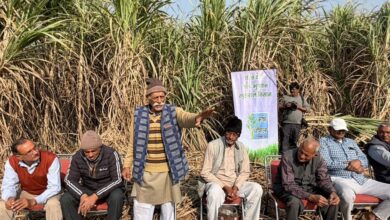 खेतों में लगाई चौपाल, योगी सरकार के कारण किसानों के जीवन में हुई उन्नति पर की गई चर्चा