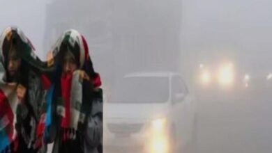 सीजन में पहली बार 5° से नीचे तापमान, उमरिया में 4.8 डिग्री; मध्य प्रदेश के 19 शहरों में 10 डिग्री से कम पारा