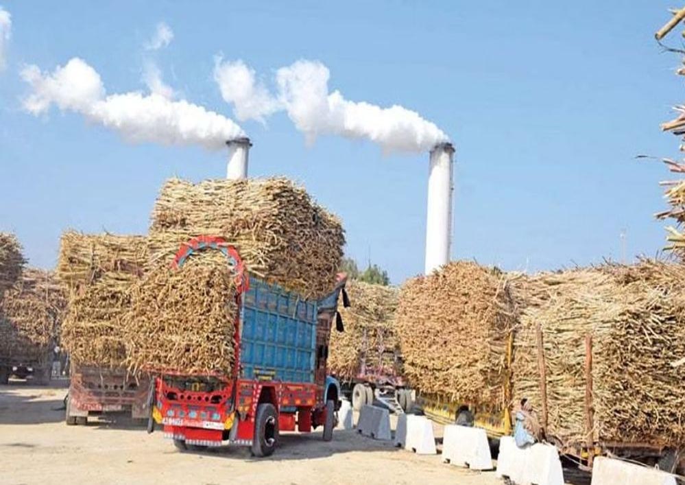 कैलारस शुगर मिल नए साल से पहले हो सकता है चालू, 10 हजार किसान देंगे गन्ना