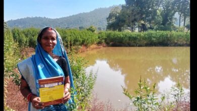 रायपुर : डबरी निर्माण से बदली सूरत कुमारी की किस्मत, खेती और मछलीपालन से बढ़ी आमदनी