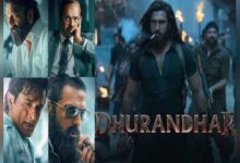 धुरंधर फिल्म ने 13 दिन में 700 करोड़ का मील का पत्थर पार किया