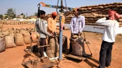 अब तक 17.24 लाख टोकन से 87 लाख टन धान की हो चुकी खरीदी,धान खरीदी के एवज में किसानों को 7 हजार 771 करोड़ रुपए का भुगतान