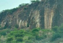 अरावली पर घमासान! ‘ग्रेट ग्रीन वॉल’ हटने से क्या सच में रेगिस्तान बन जाएंगे ये राज्य? जानिए पूरी सच्चाई