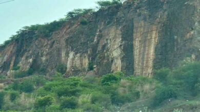 अरावली पर घमासान! ‘ग्रेट ग्रीन वॉल’ हटने से क्या सच में रेगिस्तान बन जाएंगे ये राज्य? जानिए पूरी सच्चाई