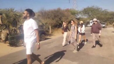 न्यू ईयर सेलिब्रेशन का हॉटस्पॉट बने एमपी के टाइगर रिज़र्व, 10 दिन देसी-विदेशी सैलानियों से रहे गुलजार