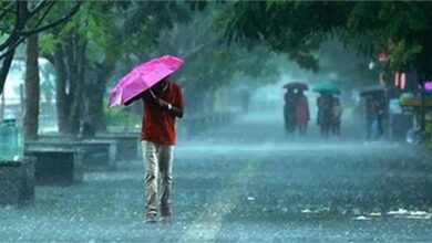 13-14 दिसंबर: भारी बारिश का तांडव तय, IMD ने कई राज्यों में जारी किया हाई अलर्ट