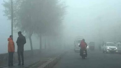 सावधान! दिसंबर में एमपी में कोल्ड अलर्ट, पहाड़ों पर बर्फबारी से बढ़ी ठिठुरन