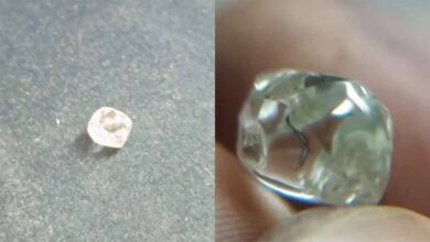 पन्ना में लकवाग्रस्त किसान की किस्मत चमकी, 3.39 कैरेट का हीरा मिला—कीमत जानकर दंग रह जाएंगे पन्ना में लकवाग्रस्त किसान की किस्मत चमकी, 3.39 कैरेट का हीरा मिला—कीमत जानकर दंग रह जाएंगे
