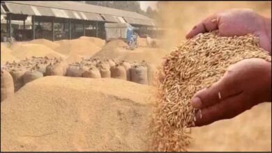 हर किसान का धान खरीदा जाए—सीएम योगी का सख्त निर्देश, अफसरों को दिया जीरो-टॉलरेंस का संदेश