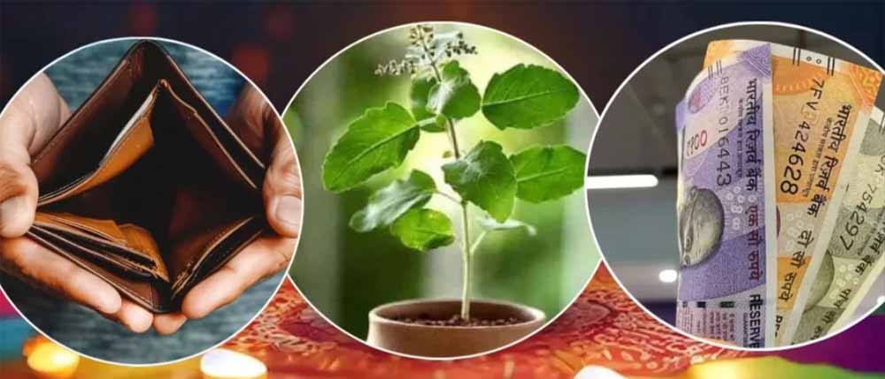 नया साल, नई किस्मत: बस करें ये उपाय और जीवन में भर जाएंगी खुशियाँ नया साल, नई किस्मत: बस करें ये उपाय और जीवन में भर जाएंगी खुशियाँ