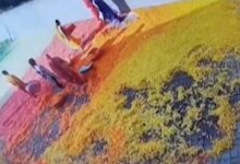 जबलपुर में फूड फैक्ट्री का गंदा सच उजागर, पैरों से कुचलकर फ्राइज मिलाते मिले कर्मचारी