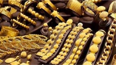 Gold Price Prediction 2029: 10 ग्राम सोना ₹3 लाख के पार! अमेरिकी अर्थशास्त्री ने किया बड़ा दावा