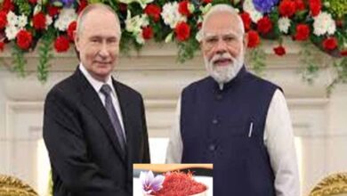 पीएम मोदी का पुतिन को तोहफा बना खास संदेश, कश्मीरी केसर से चमकी जम्मू-कश्मीर के किसानों की उम्मीद