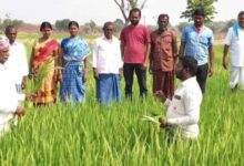 10 दिन में 6.98 लाख किसानों को किया गया प्रशिक्षित