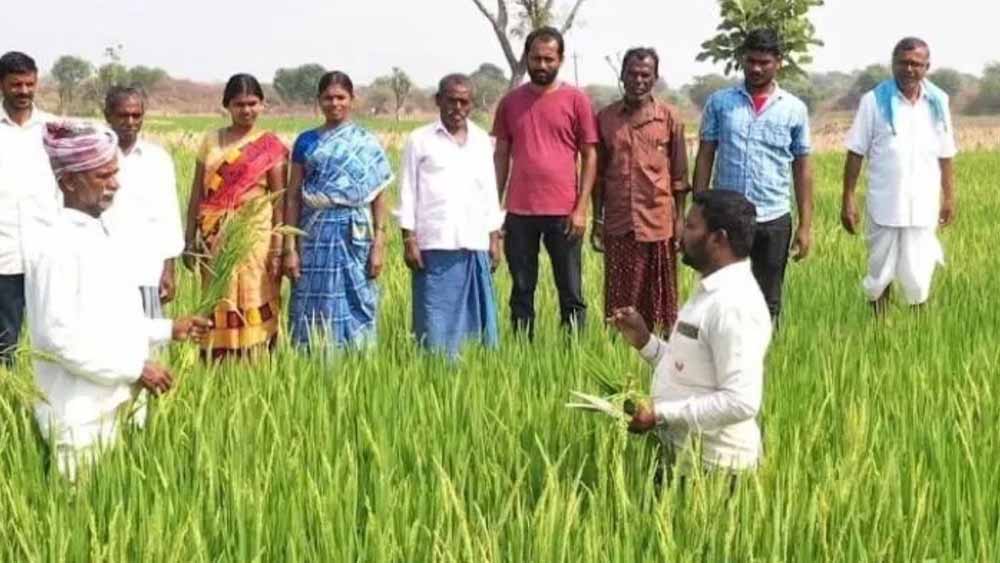 10 दिन में 6.98 लाख किसानों को किया गया प्रशिक्षित