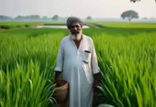 किसानों को आर्थिक सुरक्षा प्रदान कर रही डबल इंजन सरकार