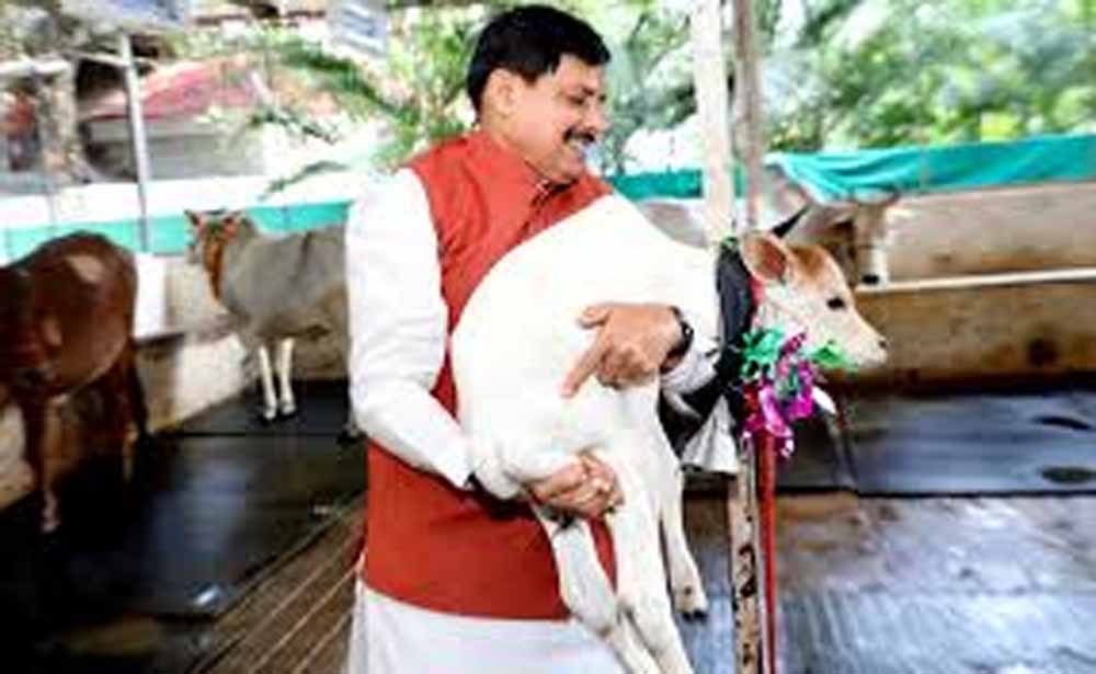 पशुपालकों की समृद्धि की ओर बढ़ रहा मध्यप्रदेश: मुख्यमंत्री डॉ. यादव पशुपालकों की समृद्धि की ओर बढ़ रहा मध्यप्रदेश: मुख्यमंत्री डॉ. यादव