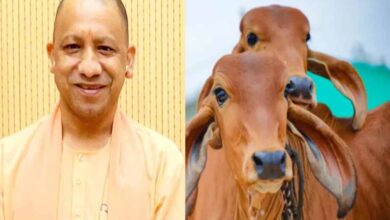 समृद्धि की राह दिखा रही योगी सरकार की नंदिनी कृषक समृद्धि योजना