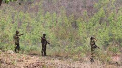 नक्सलियों संग सुरक्षाबलों की मुठभेड़ जारी, जंगल में देर-देर तक गोलाबारी