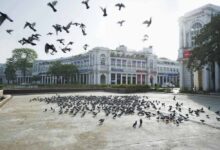 New Year 2026: जश्न से पहले अलर्ट! 31 दिसंबर शाम 7 बजे से कनॉट प्लेस में वाहनों की नो-एंट्री, बाहर निकलने से पहले पढ़ें एडवाइजरी