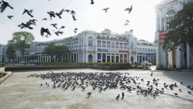 New Year 2026: जश्न से पहले अलर्ट! 31 दिसंबर शाम 7 बजे से कनॉट प्लेस में वाहनों की नो-एंट्री, बाहर निकलने से पहले पढ़ें एडवाइजरी