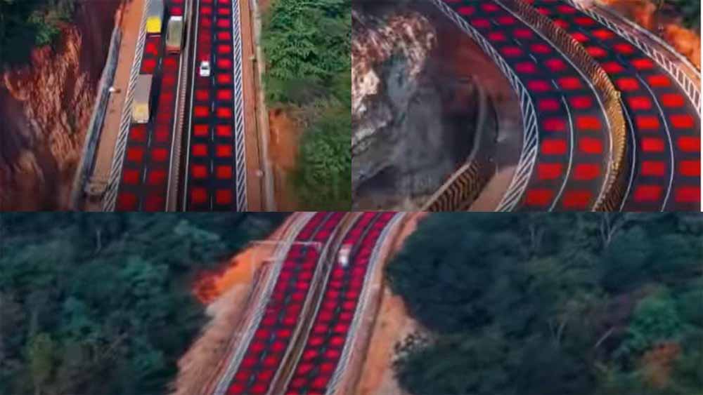 वन्यजीव संरक्षण में ऐतिहासिक कदम: मध्य प्रदेश के नेशनल हाईवे पर बनी भारत की पहली ‘रेड रोड’ वन्यजीव संरक्षण में ऐतिहासिक कदम: मध्य प्रदेश के नेशनल हाईवे पर बनी भारत की पहली ‘रेड रोड’