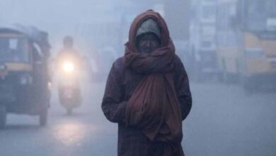 एमपी में गलन बढ़ाएगी शीतलहर, अगले 48 घंटे में तापमान में तेज गिरावट का अलर्ट एमपी में गलन बढ़ाएगी शीतलहर, अगले 48 घंटे में तापमान में तेज गिरावट का अलर्ट