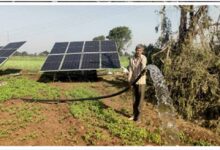 प्रदेश के 52 हजार किसानों के खेत अब लहलहाएंगे सोलर पंप से